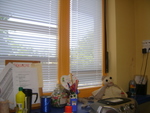 DSC01285.JPG